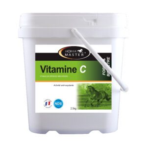 Vitamine c Healthy immune system